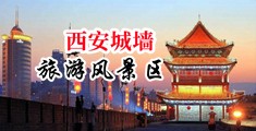 骚播在线中国陕西-西安城墙旅游风景区